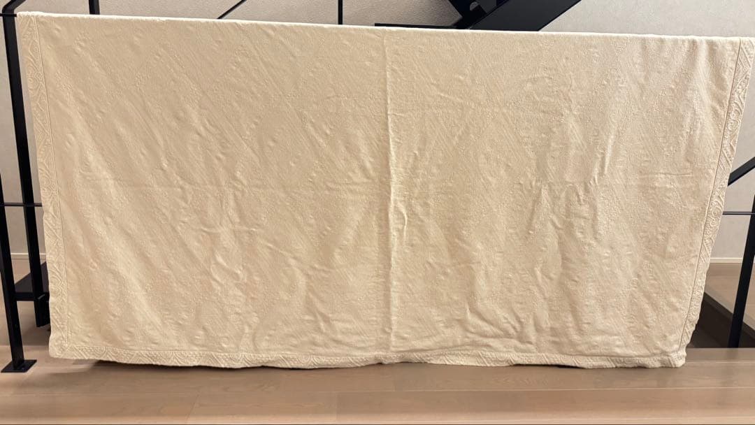 【お年玉割引中】ZARA  ザラホーム　ラグ