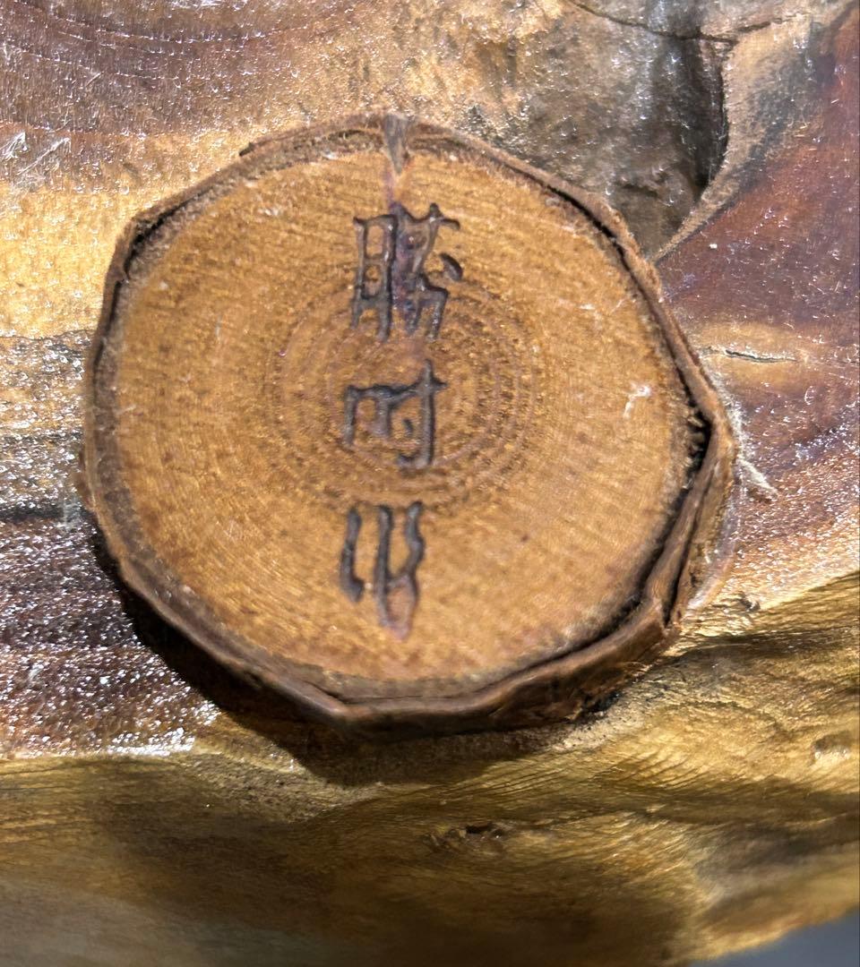 カラフトマス　剥製　エラ付き　勝時作　激レア作品