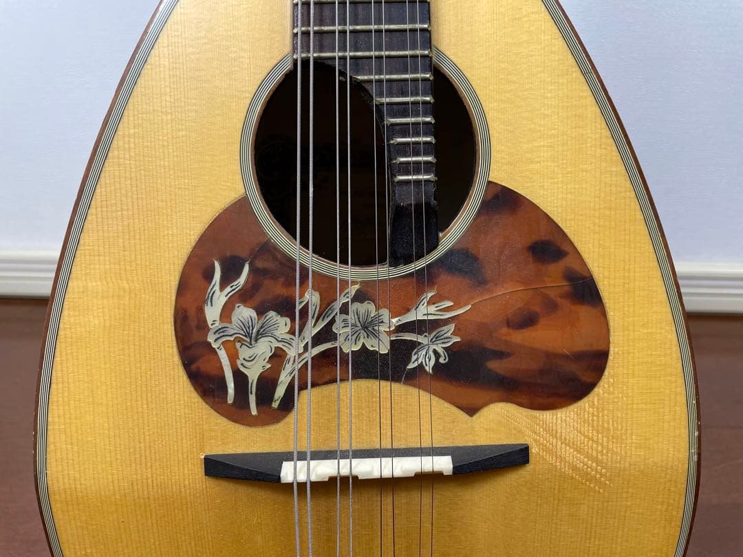 ラファエル・カラーチェ No.26 マンドリン - メルカリ