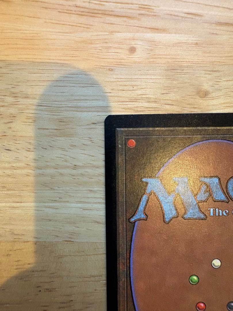 mtg 樹上の村 foil