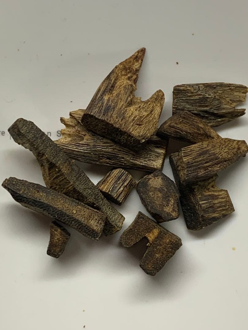 極上緑油伽羅 沈香原木 香木 重さ:10.3g