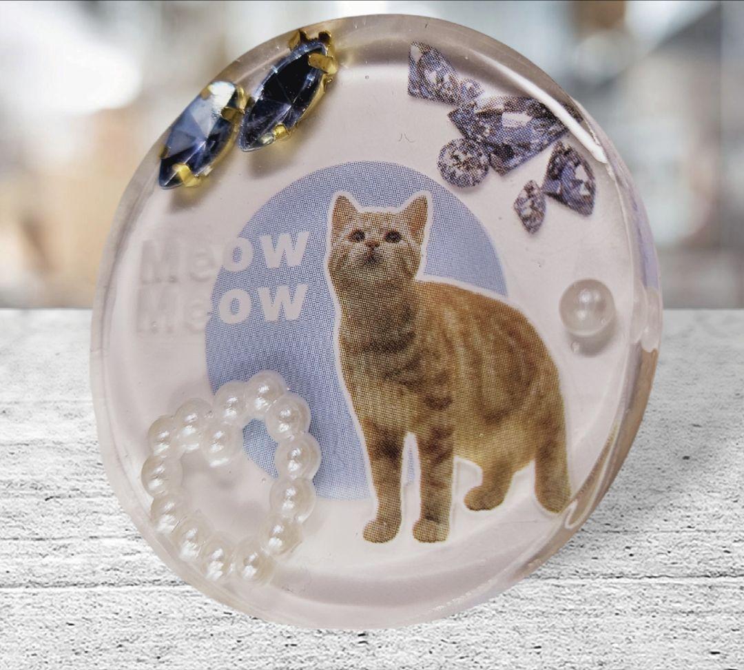 1点のみ❤NO.799❤猫❤ビシュー❤クリア❤レジンへアゴム ブローチ