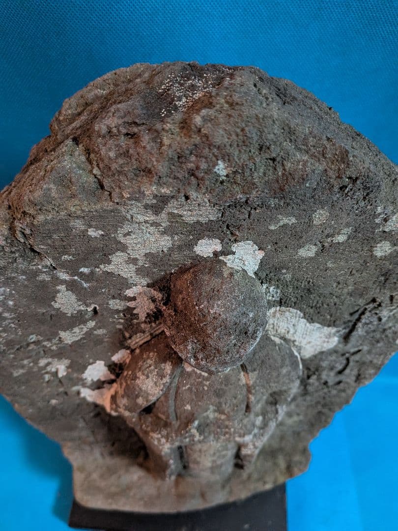 江戸時代稀少レア１７０７年宝永５年（３１７年前）徳川綱吉公治世高さ４３センチ石仏