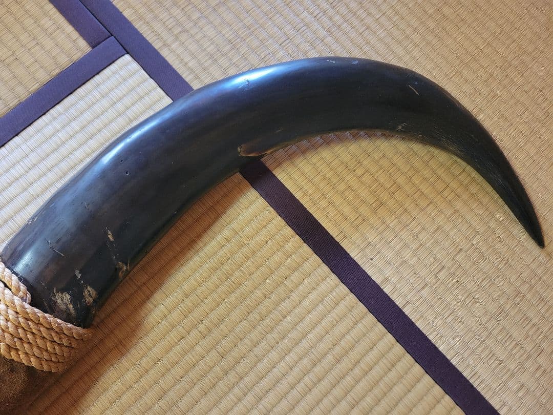 し*☆様 水牛の角 インテリア 186cm送料込み‼️