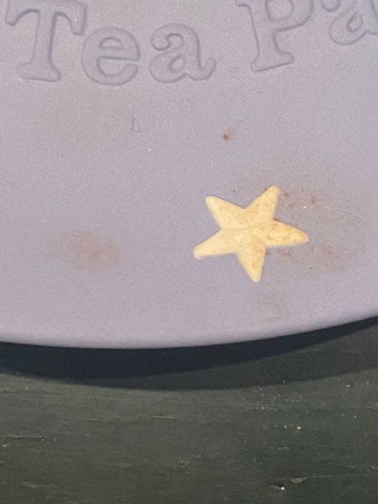 ウェッジウッド ジャスパー イヤープレート 1976 ボストン200年記念