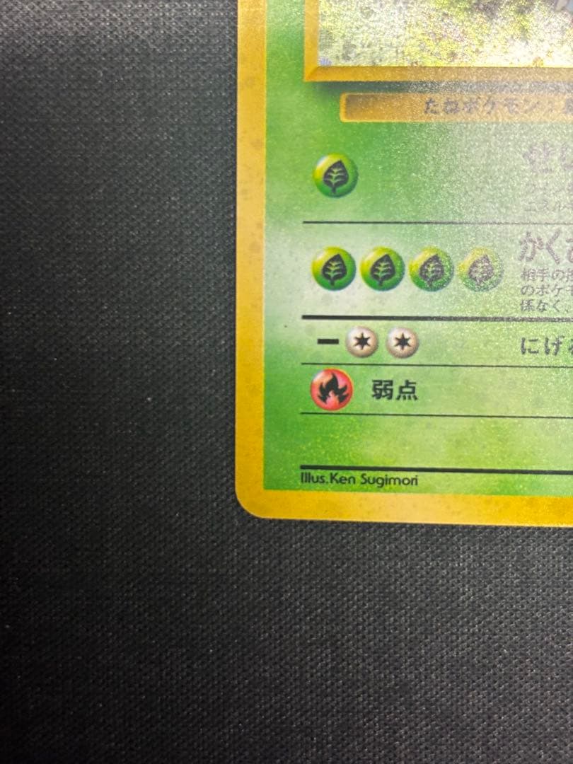 旧裏】エリカのフシギバナ ☆ ジム拡張第2弾 闇からの挑戦(準