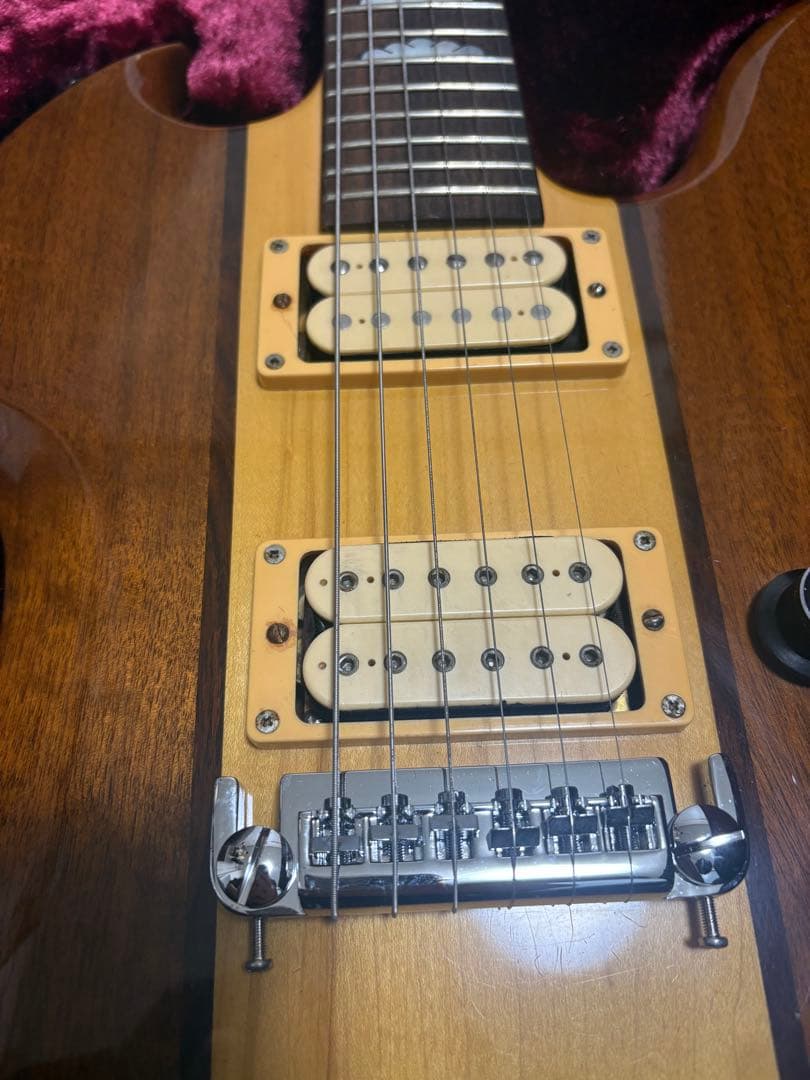 ボ*チ様 B.C.rich MG-V エレキギター