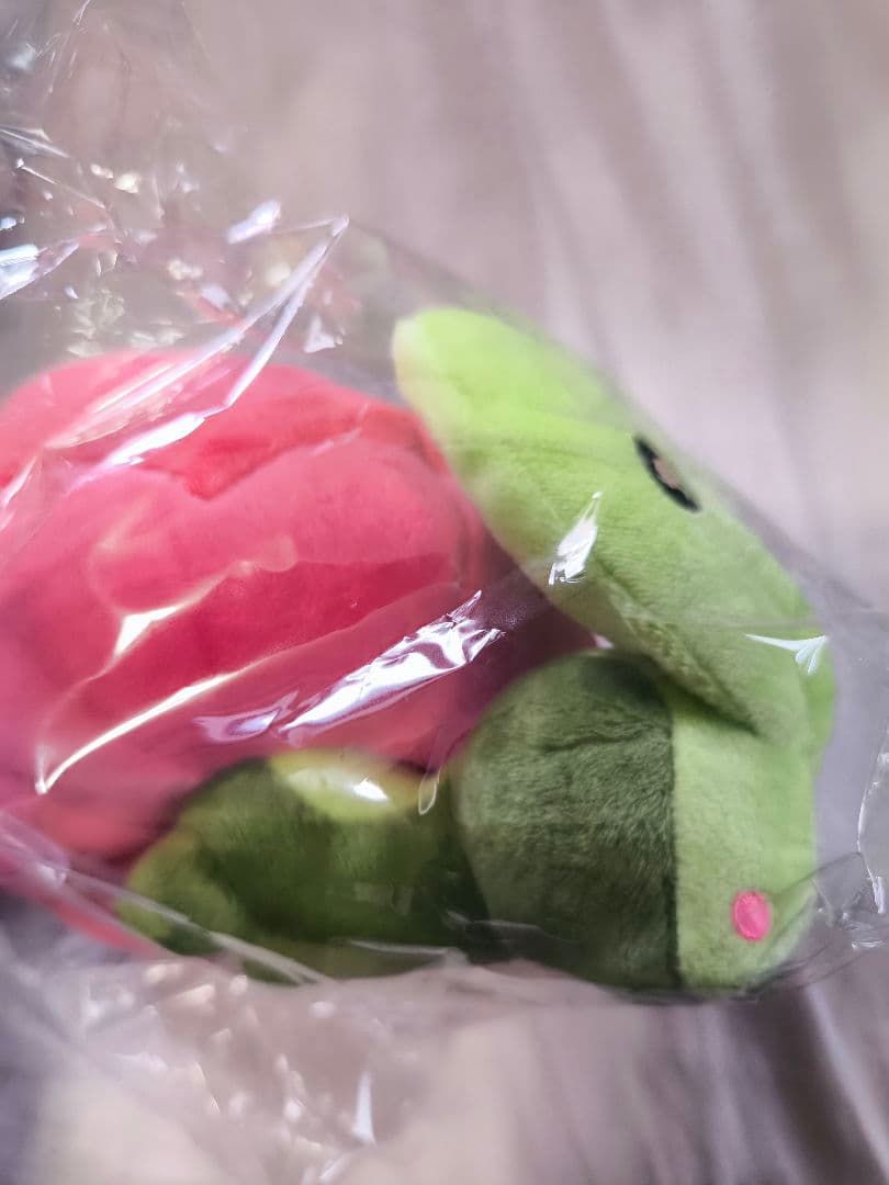 ポケモン 海外限定 カジッチュ 等身大 ぬいぐるみ マスコット 果然一派