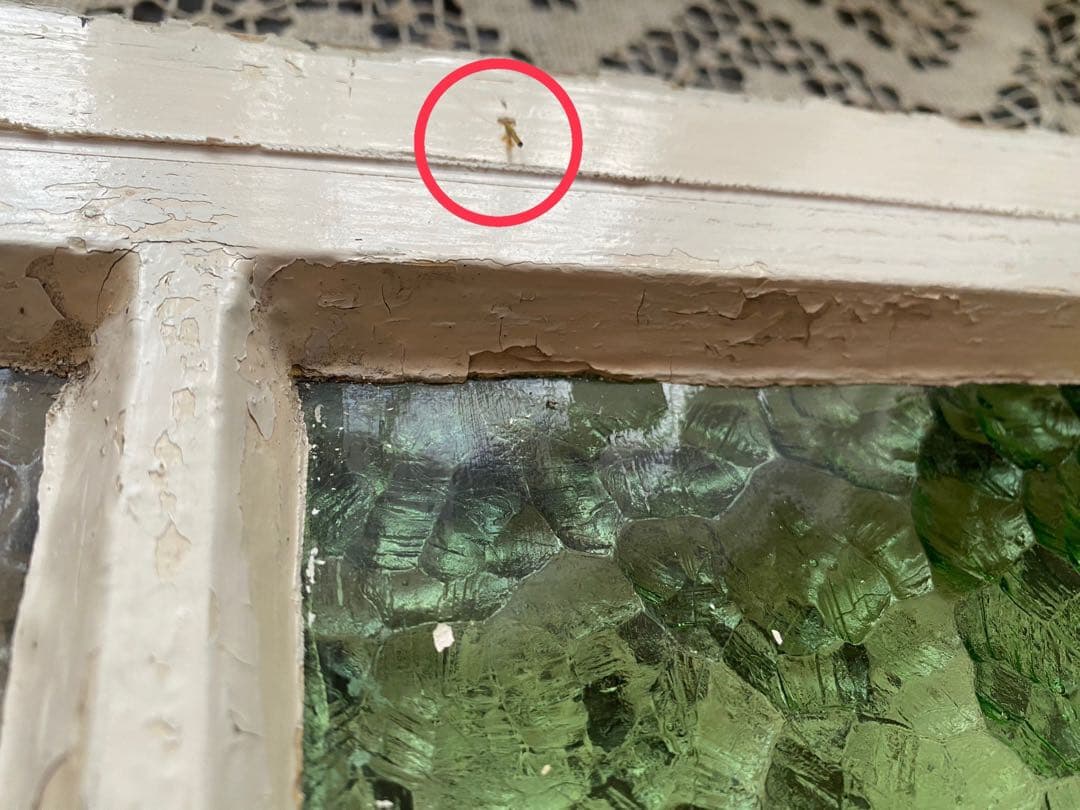 田んぼに熊＊希少 ステンドグラス レトロガラス 建具 窓 窓枠 インテリア