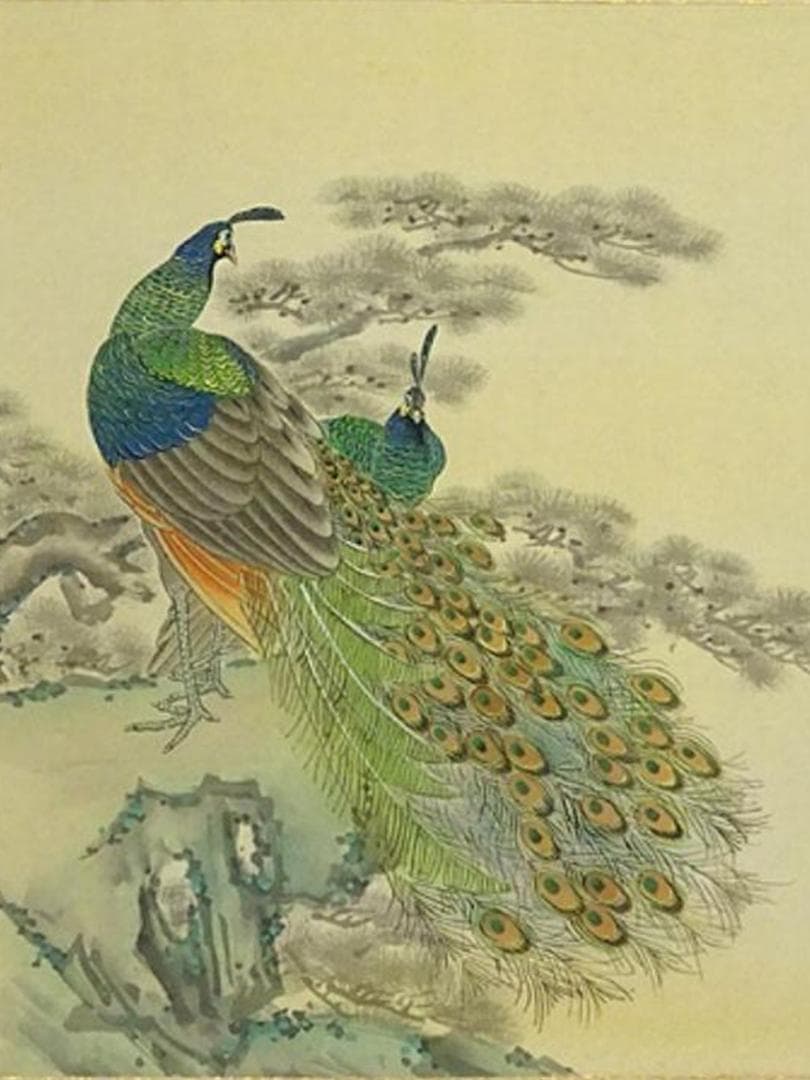 真作】掛軸 分部五鈴『孔雀図』日本画 絹本 共箱付 掛け軸 a091316