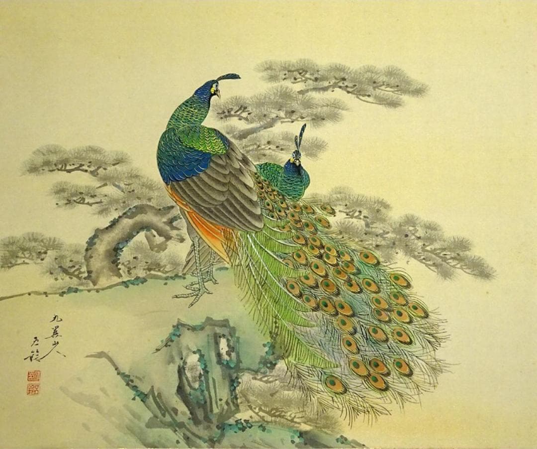真作】掛軸 分部五鈴『孔雀図』日本画 絹本 共箱付 掛け軸 a091316