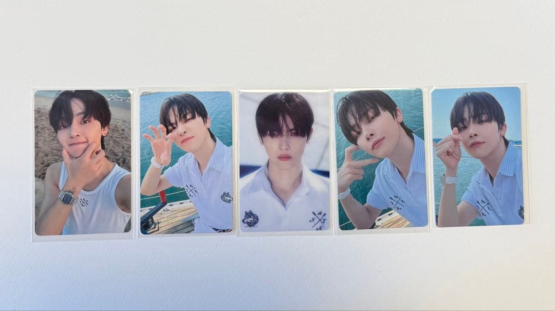 &TEAM ニコラス まとめ売り ＋ソロジャケ3種(五月雨、青嵐、雪明かり)