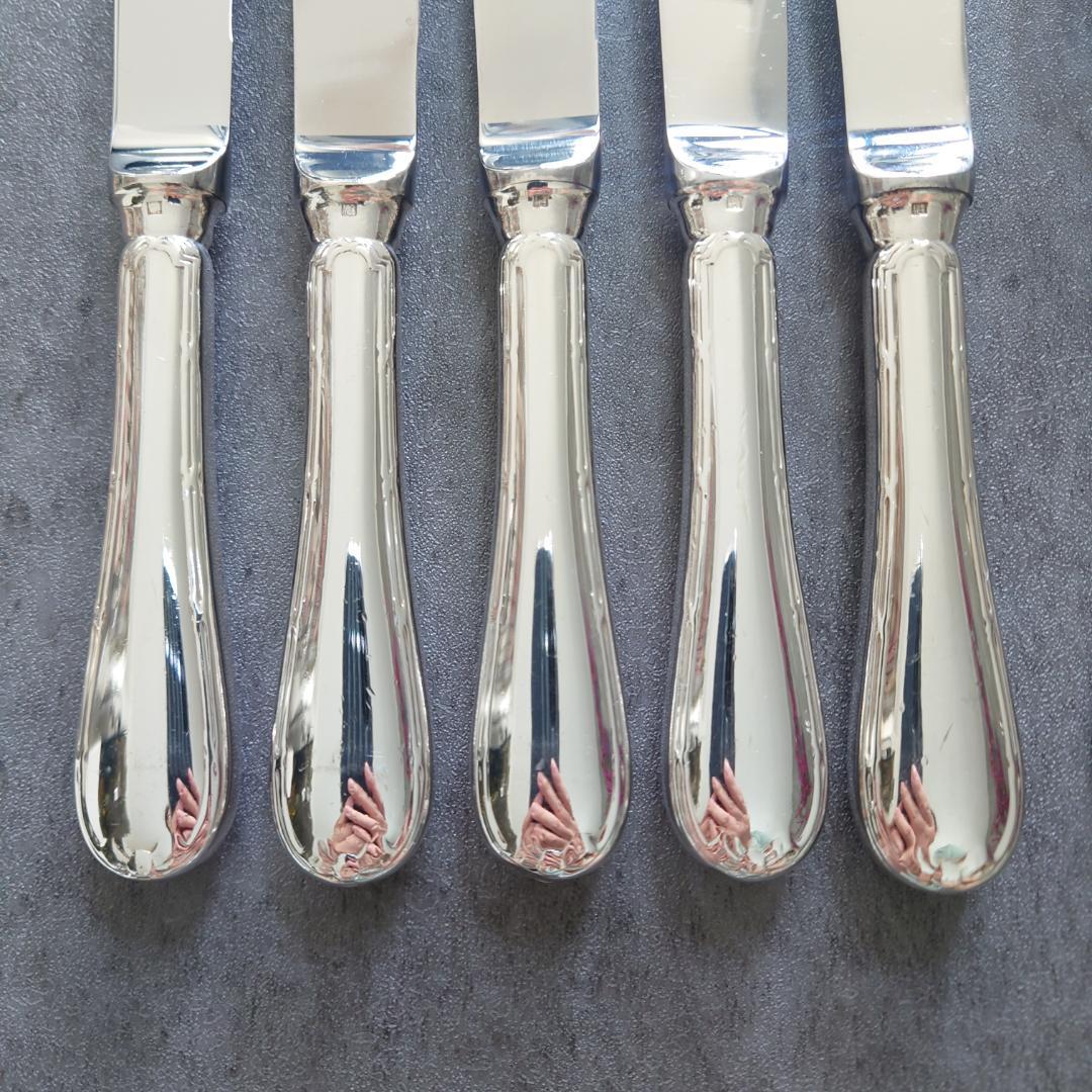 希少 クリストフル リュバン デザートサイズ 10点