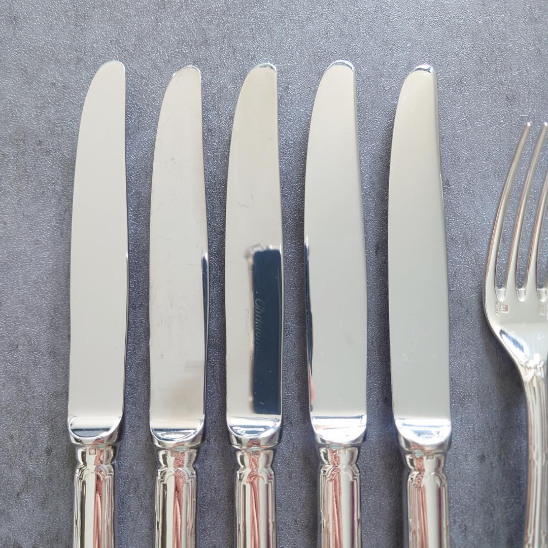 希少 クリストフル リュバン デザートサイズ 10点