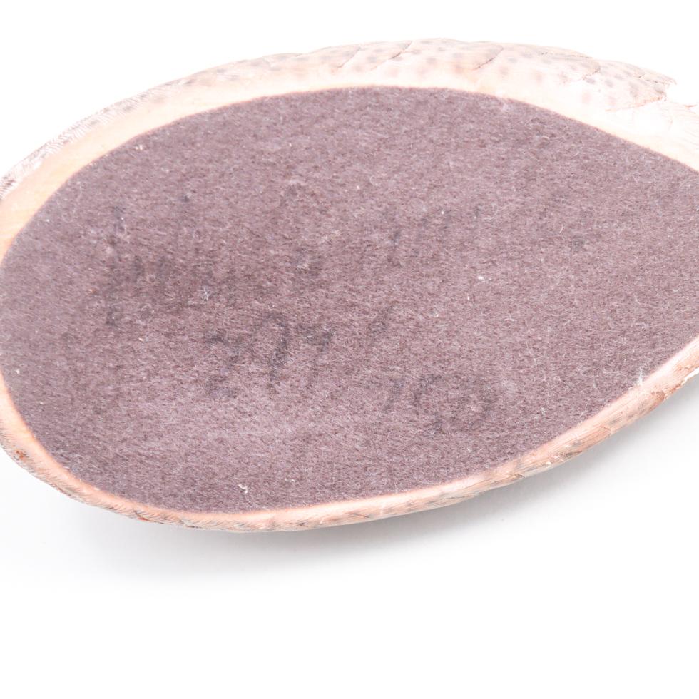 Wild Wings コールドキャスト 手描き彩色 デコイ バードカービング