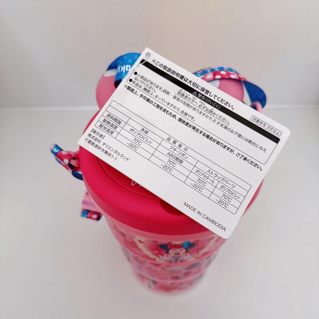 ディズニーランド パルパルーザ ミニパル ポップコーンバケット