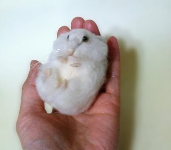 羊毛　手のひらサイズ　ねむハムちゃん　orderページ