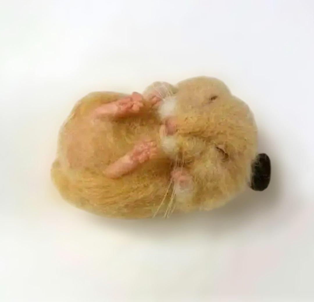 羊毛　手のひらサイズ　ねむハムちゃん　orderページ