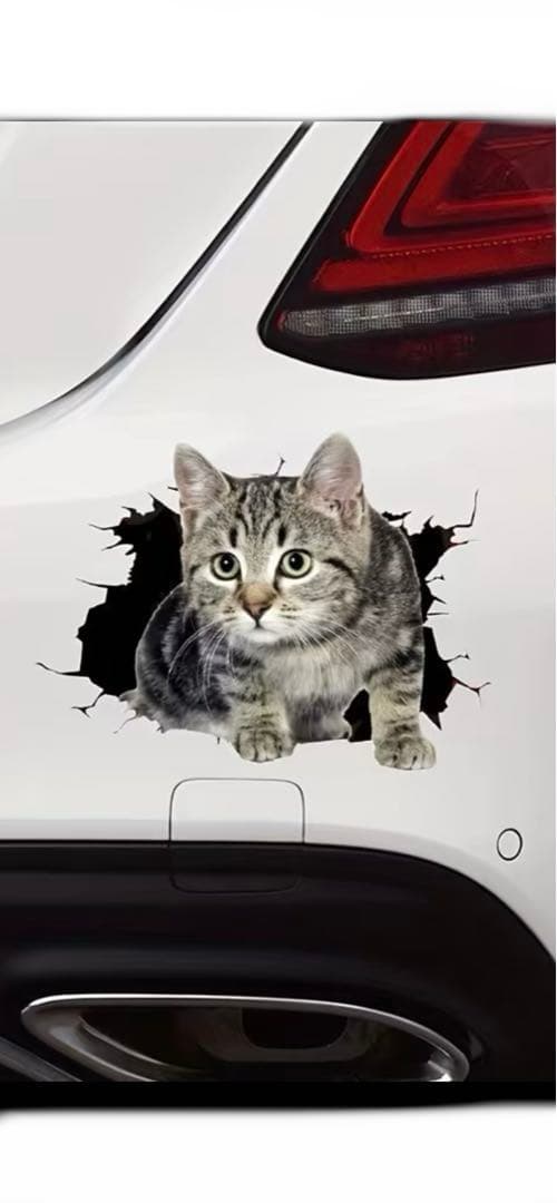 リアル猫(=^x^=)❣️ステッカー［10］ - メルカリ