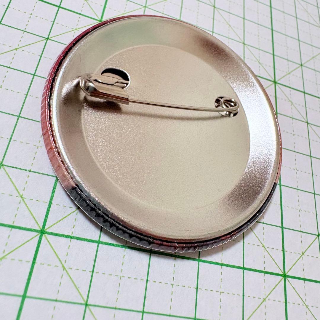 ヴィジュアルプリズン　ロストエデン　缶バッジ　4点　レア　非売品