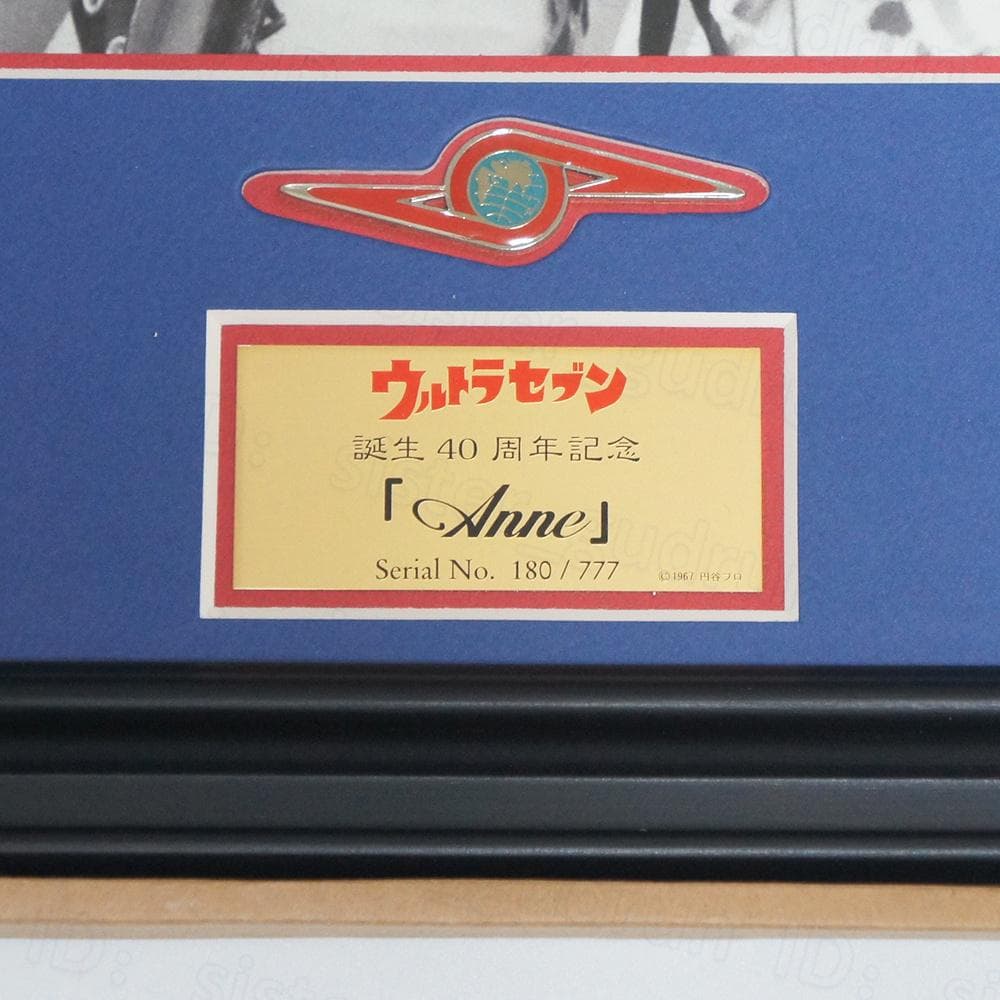 中古】 限定フォトパネル 友里アンヌ 直筆サイン - メルカリ