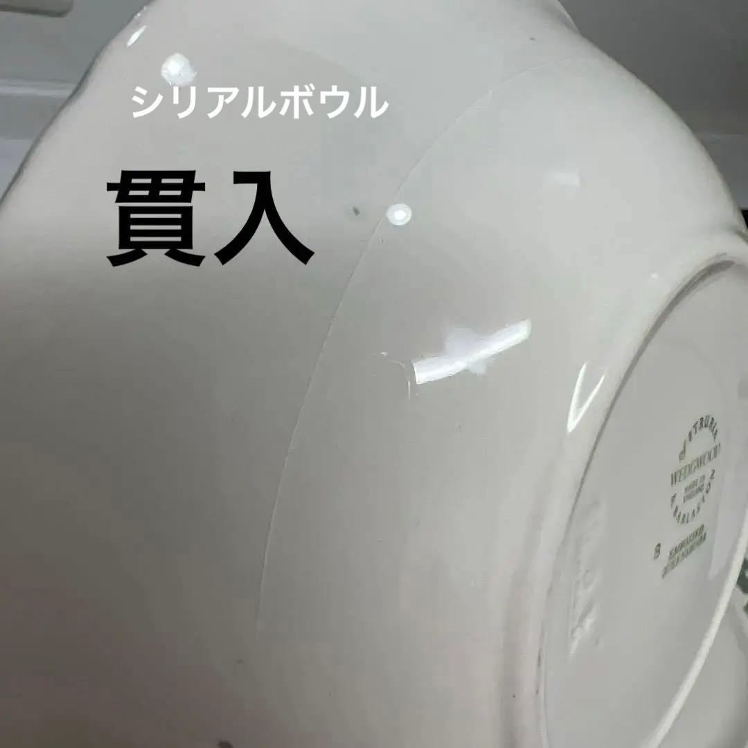 ウエッジウッド　クイーンズウェア　 オフホワイト/セラドンセット　 シェルエッジ