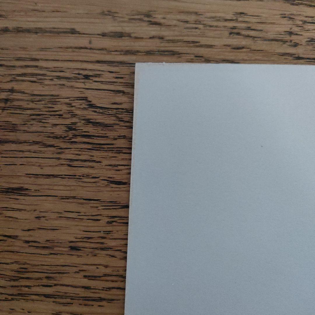 販売終了品 birdswords 初期 バーズワーズ シルクスクリーン シリアル