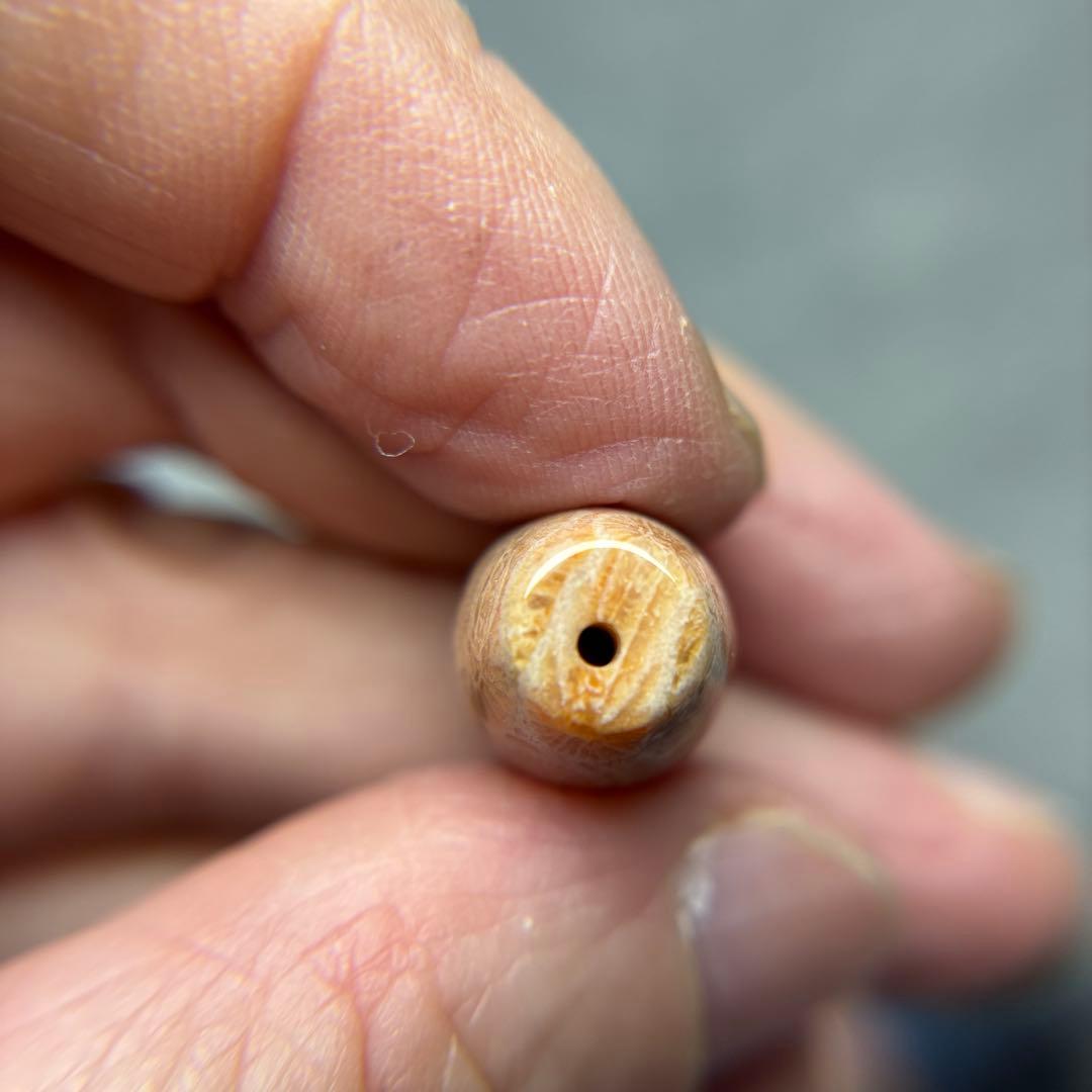 あずきちゃんフォッシルコーラル　天珠　1-284