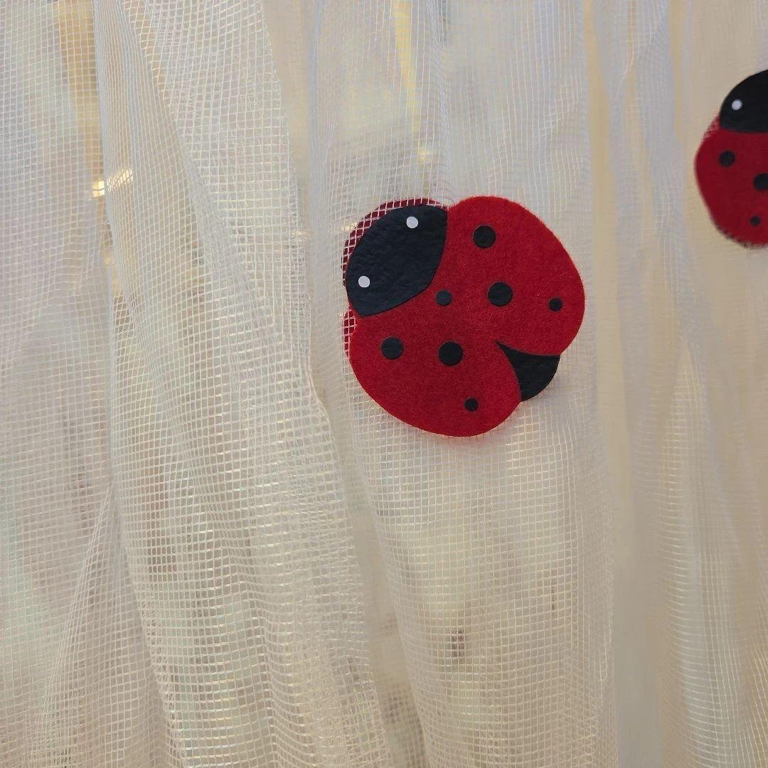 スパイス　てんとう虫キャノピー