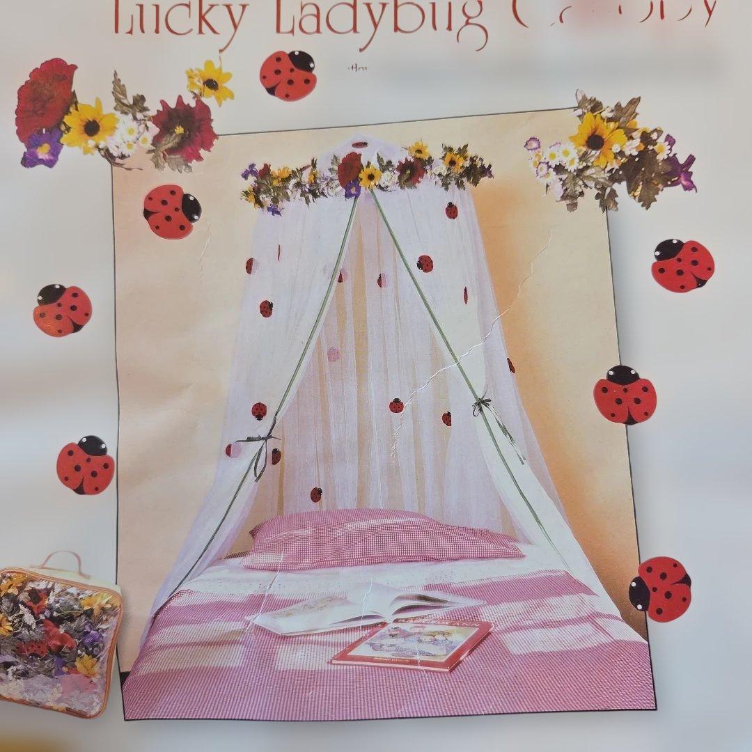 スパイス　てんとう虫キャノピー