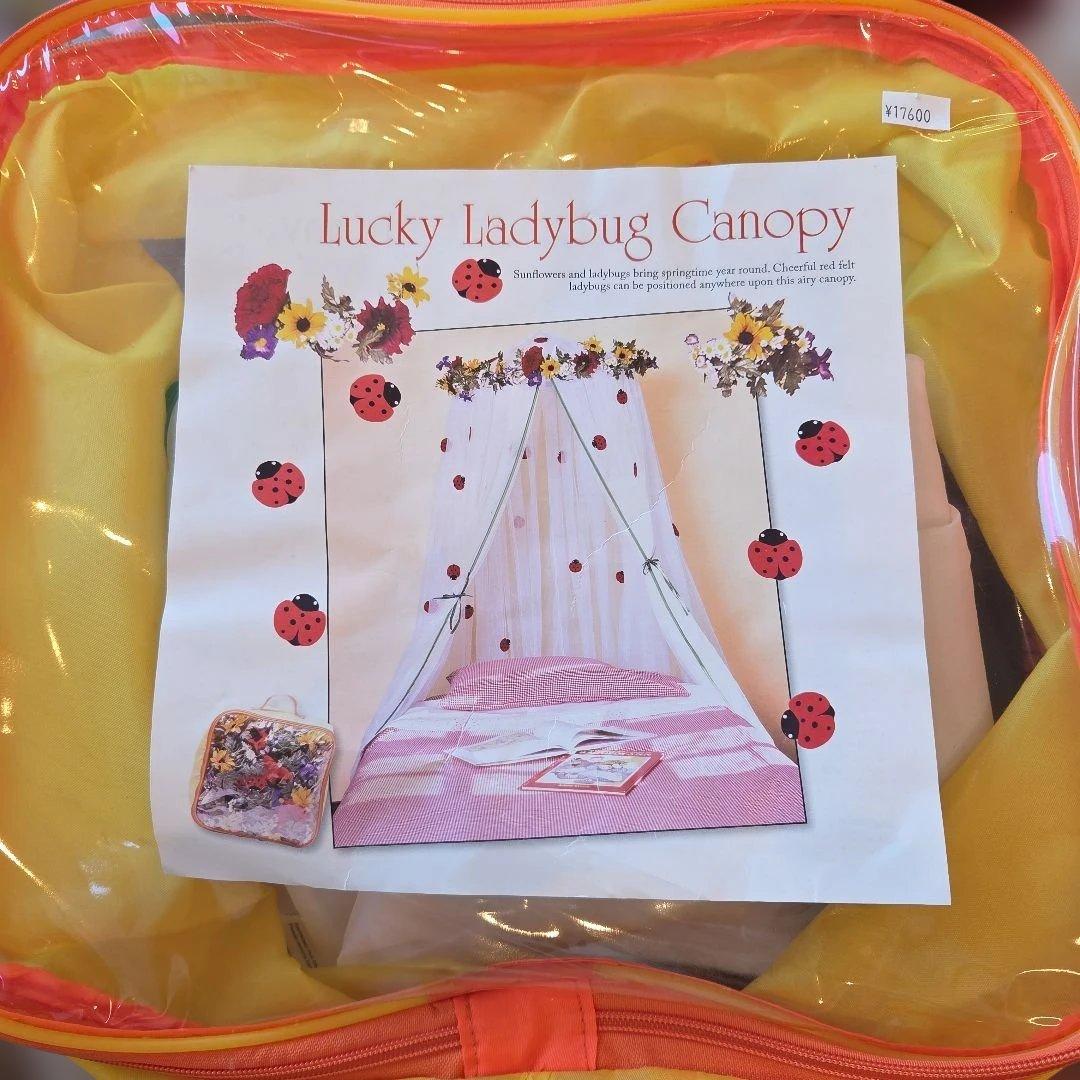 スパイス　てんとう虫キャノピー