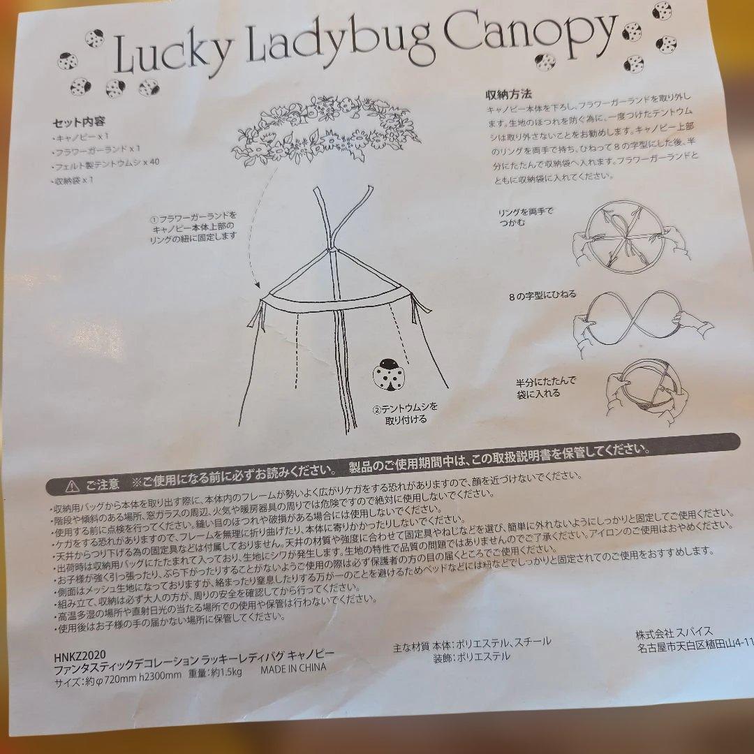 スパイス　てんとう虫キャノピー