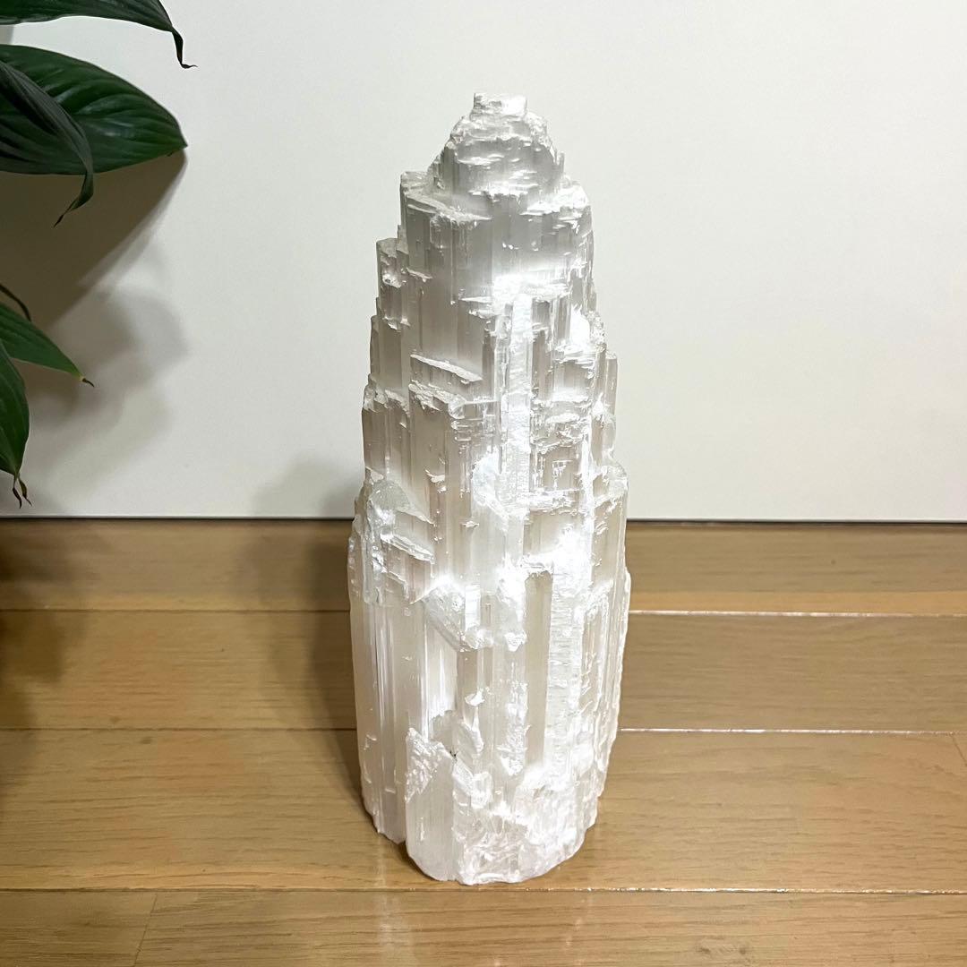 セレナイトタワー　ライト