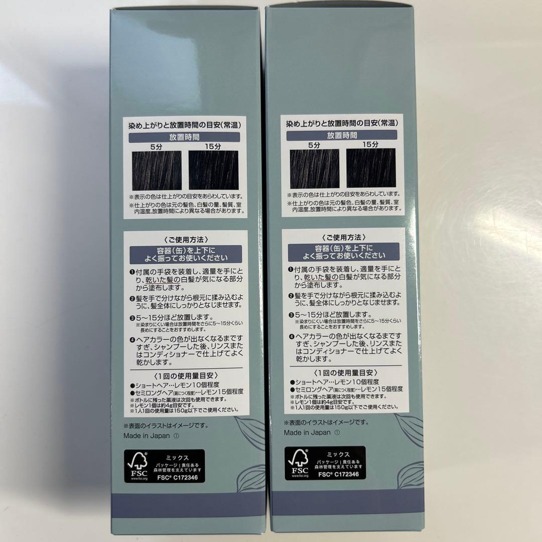 ヘアボーテ エクラ ボタニカル エアカラーフォームup ナチュラルブラック2本