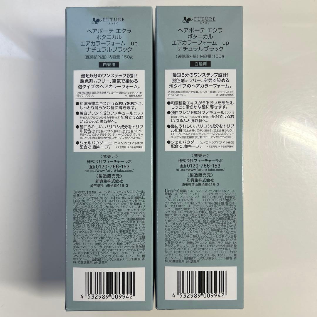 ヘアボーテ エクラ ボタニカル エアカラーフォームup ナチュラルブラック2本