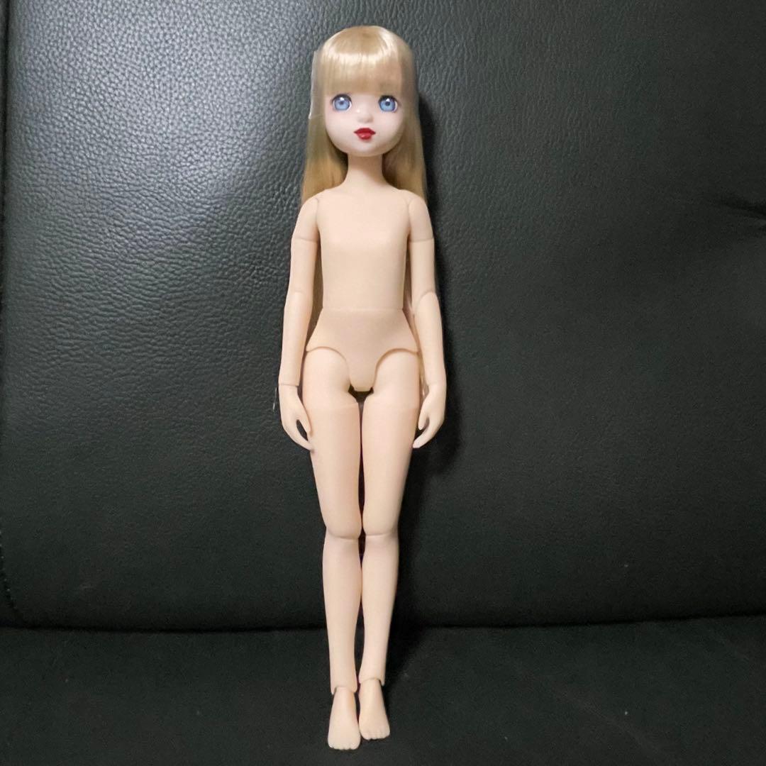 ruruko 小さな悪魔 アゾンEx.【お人形未使用】　ペットワークス