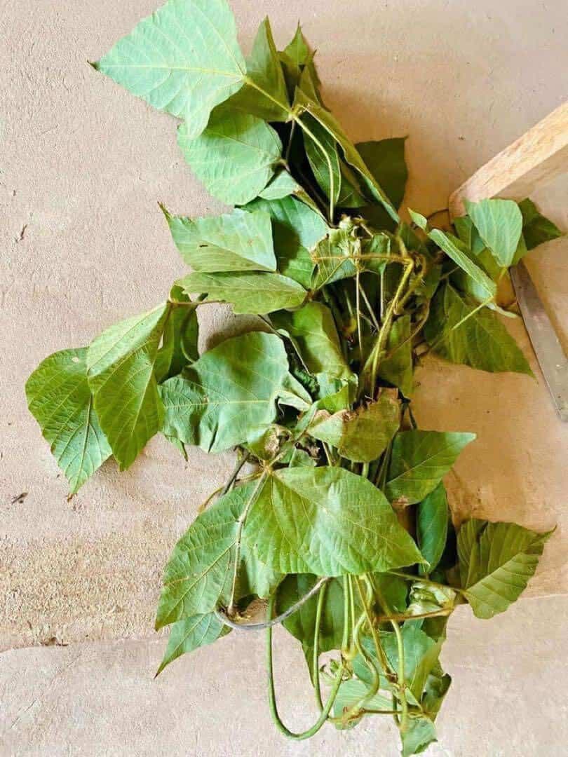 KUZU-63 葛糸*3kg　撚り糸　手編み手織り用糸