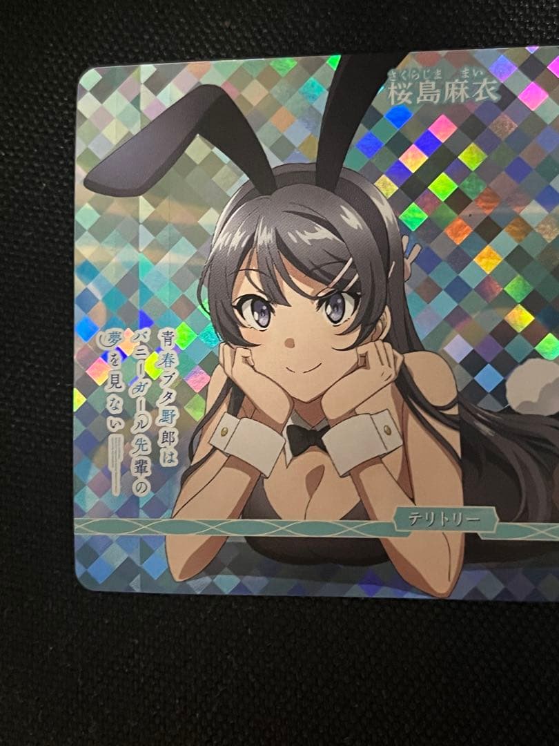 ビルディバイドブライト　 エキスパートカップ 優勝プロモ 桜島麻衣　VT