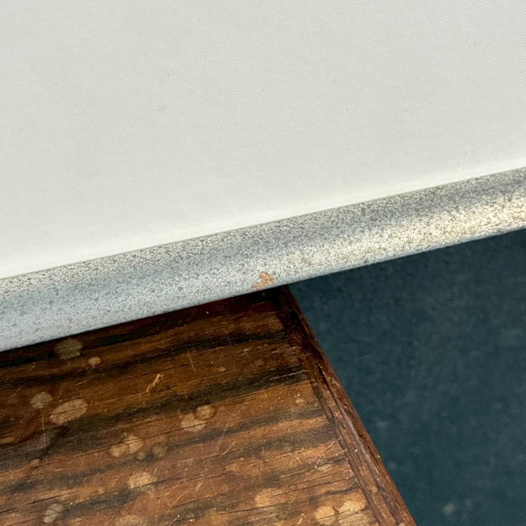 美品 上村淳之「鴫（銀）」リトグラフ 直筆サイン・印章有 額縁入 上村松園 花鳥