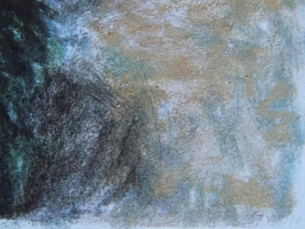 ARIKHA、Augustines' Garden、希少画集画、新品額装付 - メルカリ