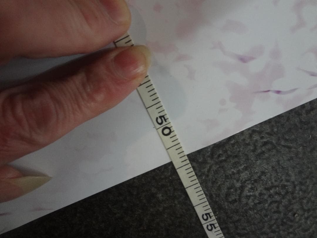 Fate/stay night      入手困難非売品ロングサイズポスター