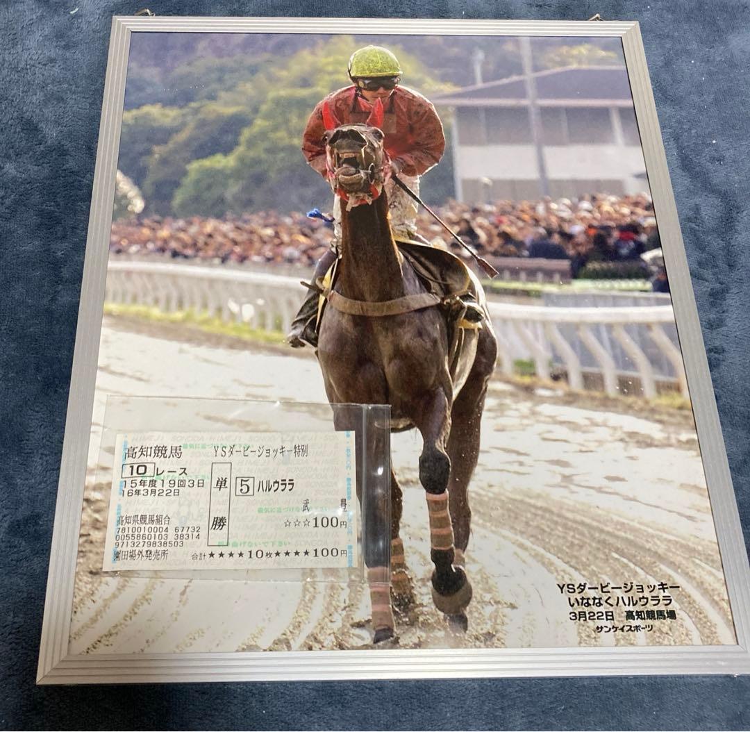 競馬】ハルウララ 武豊 単勝馬券と写真パネル - メルカリ