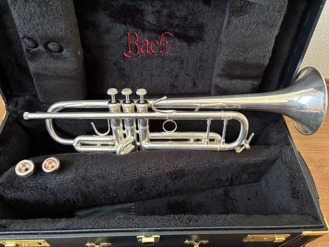 トランペット 〈Bach Stradivarius 37 180MLS 〉 B♭ トランペット - Stradivarius ： Bach | 野中貿易