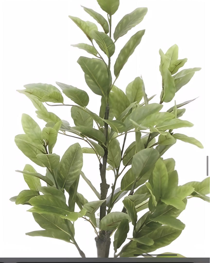 光触媒　人工観葉植物　ウォールグリーン　フェイクグリーン　レモンの木1点もの
