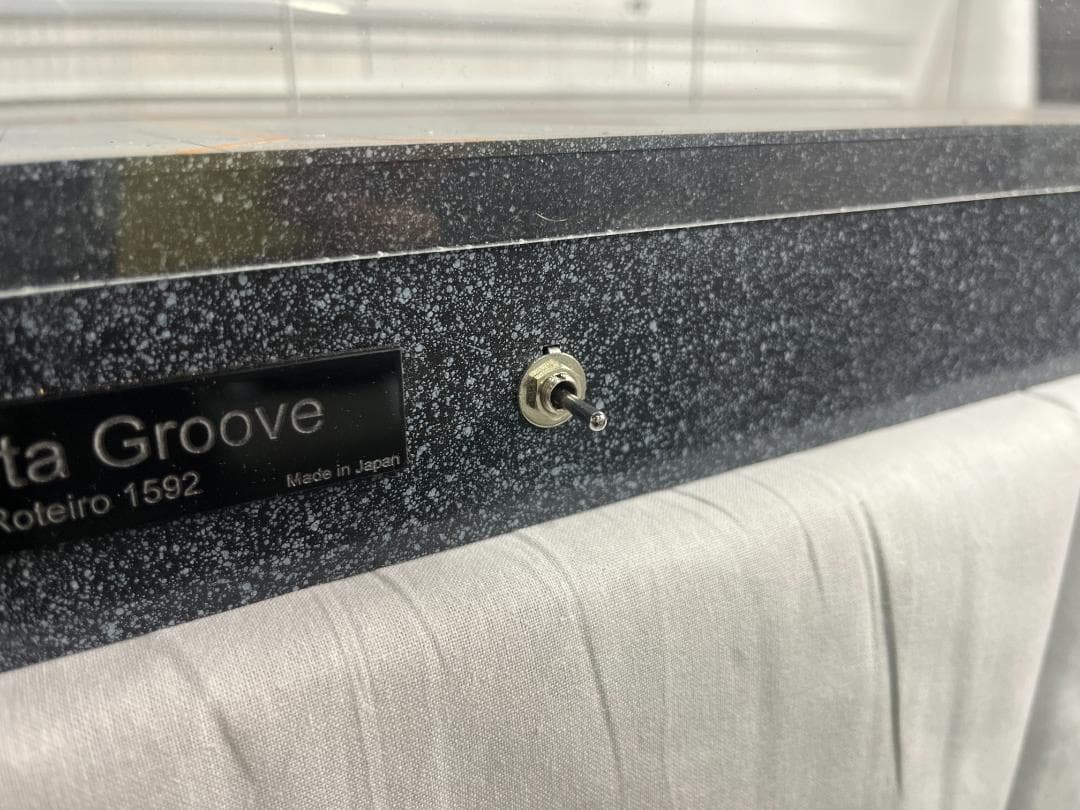 Delta Groove　ロテイロ 1592 | 空港ターミナル　1/400