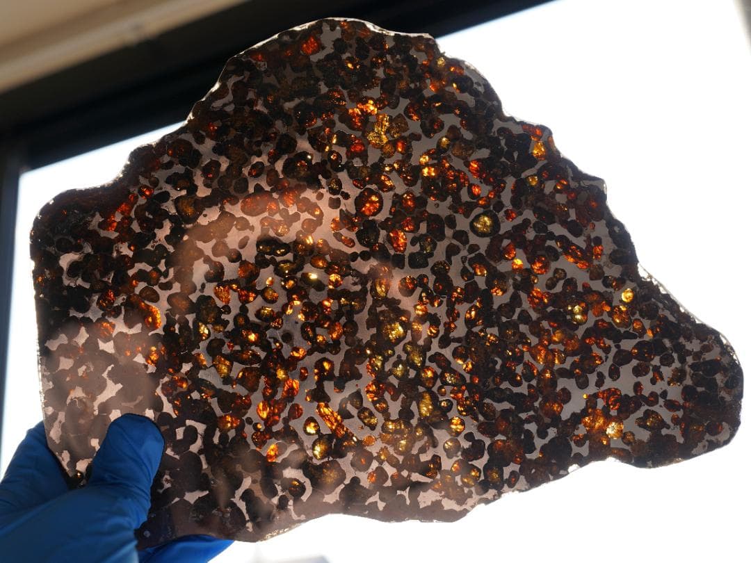 【超レア・BIGサイズ】セリコ パラサイト隕石 高透光 高品質 345.7g