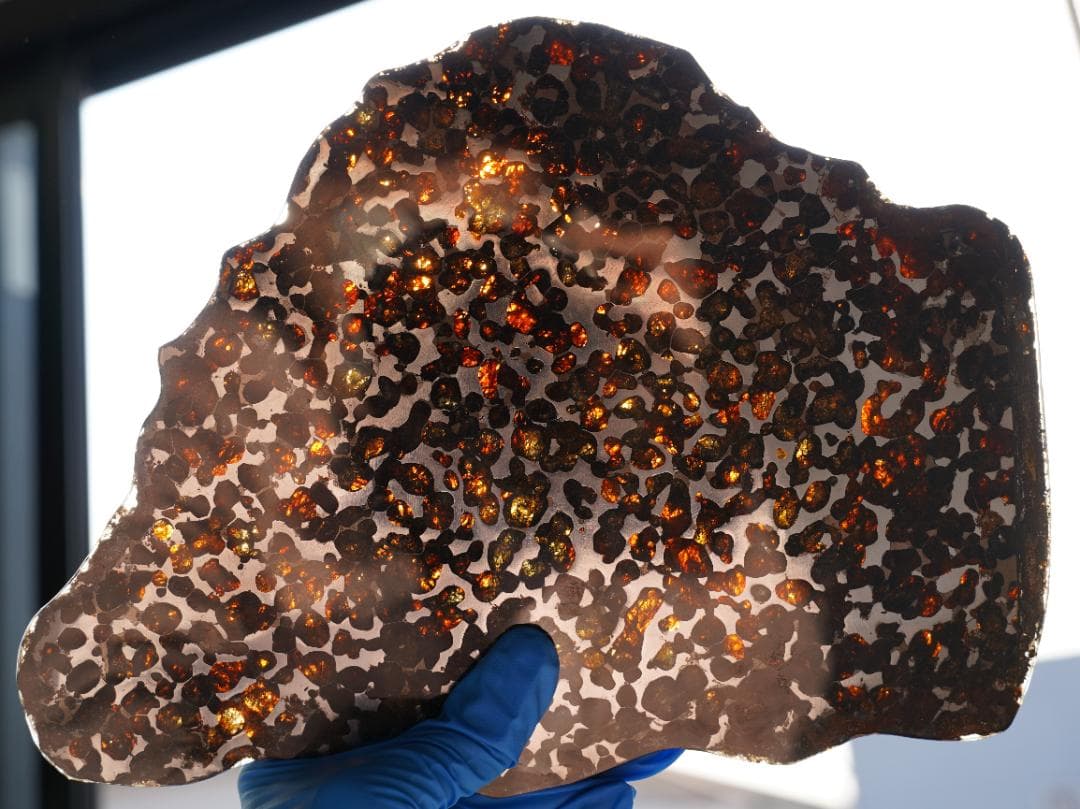 【超レア・BIGサイズ】セリコ パラサイト隕石 高透光 高品質 345.7g