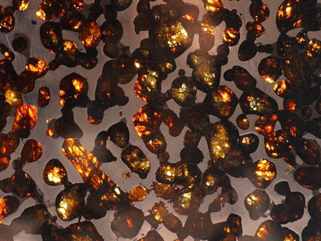 【超レア・BIGサイズ】セリコ パラサイト隕石 高透光 高品質 345.7g