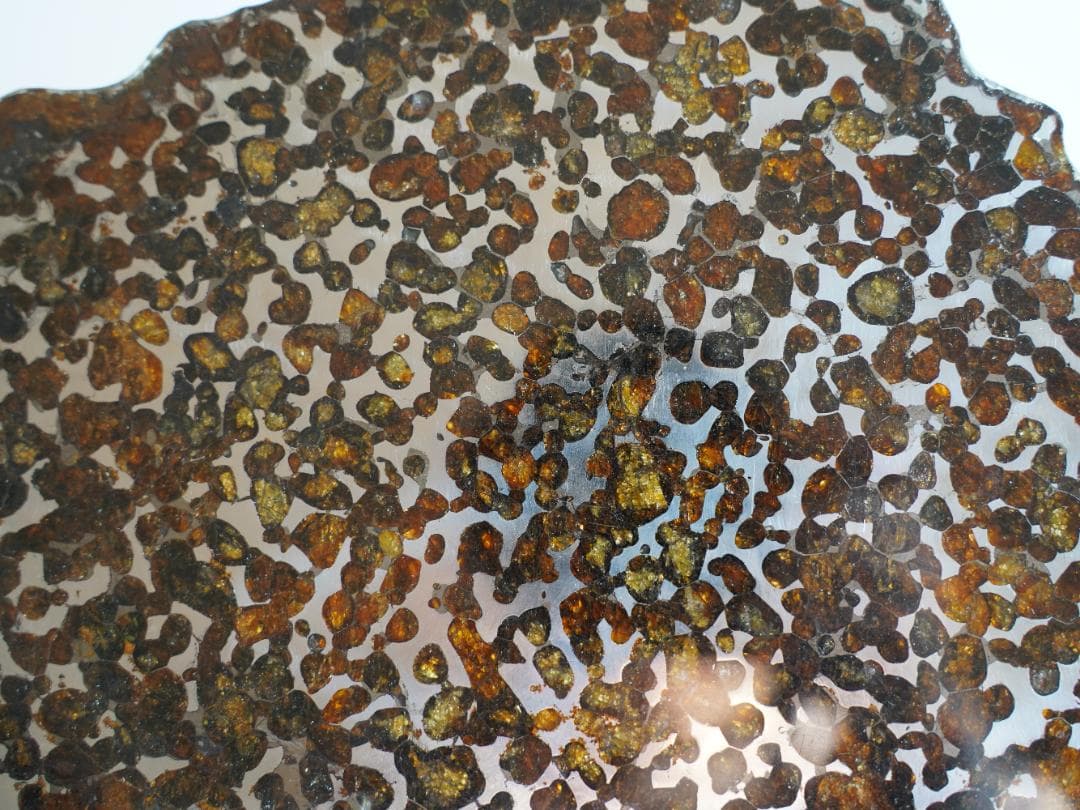 【超レア・BIGサイズ】セリコ パラサイト隕石 高透光 高品質 345.7g