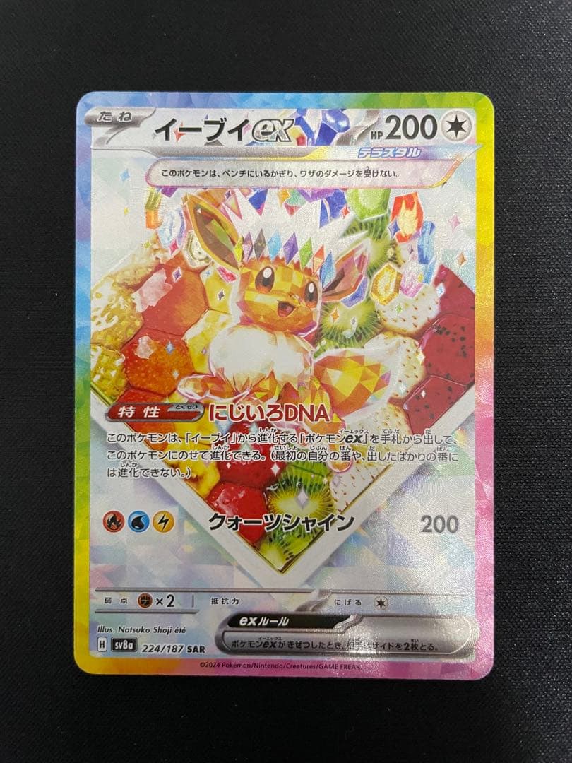 【最終値下】ポケモンカード テラフェス ブイズ 10枚コンプセット＋おまけ付き